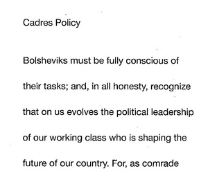 Cadre Policy.pdf