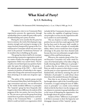 What Kind of Party?.pdf